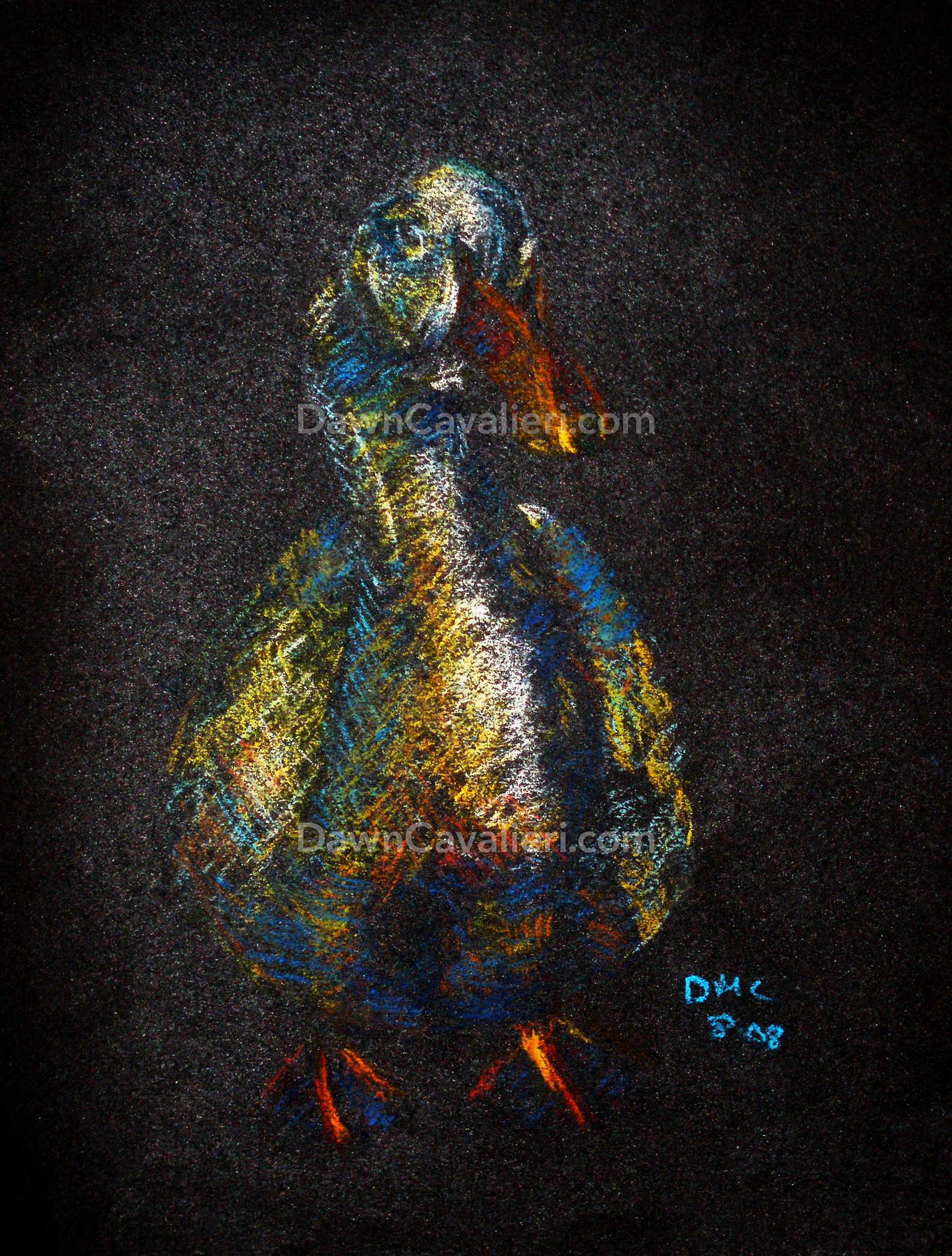 Portrait of a pekin duck, done in pastel on black paper. The duck is standing and facing forward, with his head turned to the right. The body is rendered in white and light tones of blue, yellow, and orange; the bill and feet are deep orange. The black paper serves as the darkest shadows and the background.